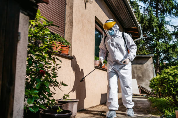 Best Wasp Removal Services  in Central, SC