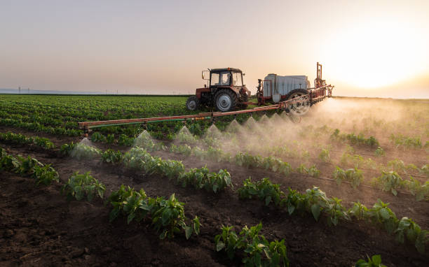 Pest Control Cost in Central, SC