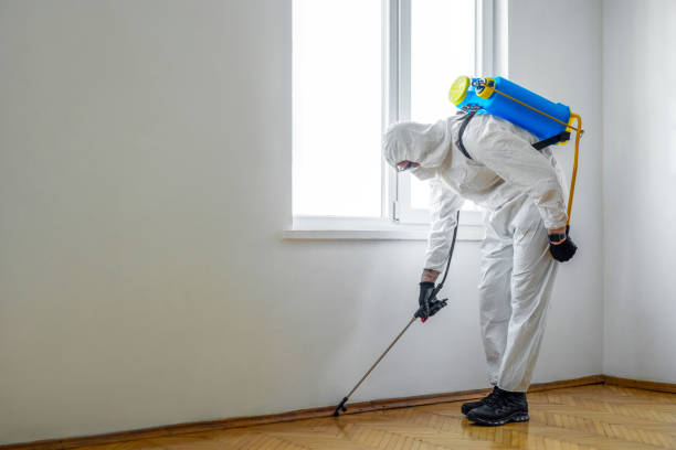 Best Wildlife Control Services  in Central, SC