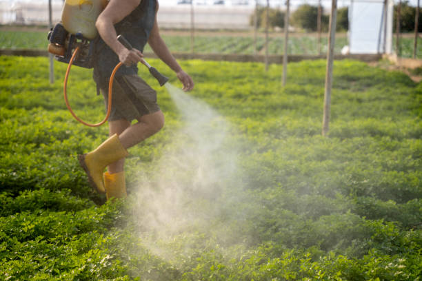 Best Residential Pest Control  in Central, SC