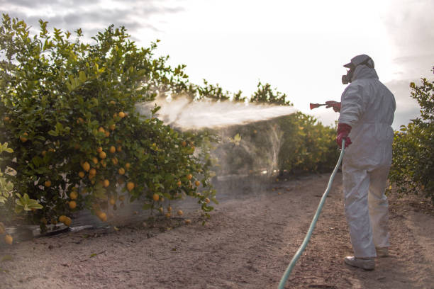 Best Best Pest Control Near Me  in Central, SC