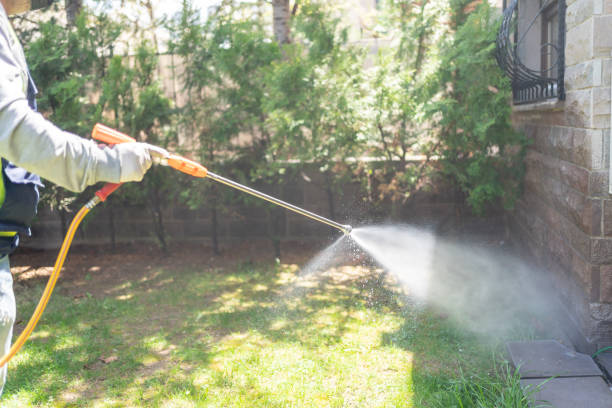 Spider Control Near Me in Central, SC
