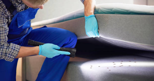 Best Pest Inspection Near Me  in Central, SC
