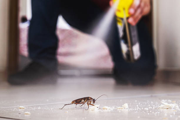 Best Local Pest Control Services  in Central, SC