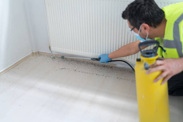 Best Ant Control Services  in Central, SC