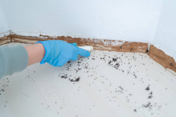 Best Best Pest Control Companies  in Central, SC