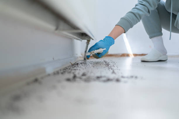 Reliable Central, SC Pest Control Solutions